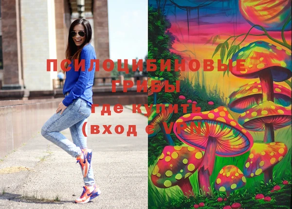 стаф Абаза