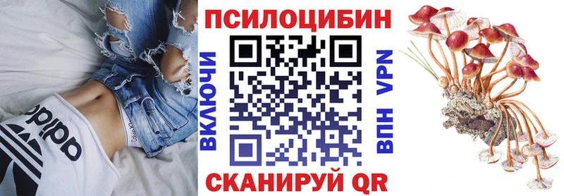 Псилоцибиновые грибы прущие грибы  нарко площадка какой сайт  Кашира  закладки 