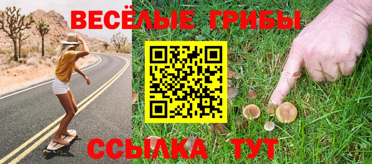 Кашира  Псилоцибиновые грибы MAGIC MUSHROOMS  Вход с VPN 